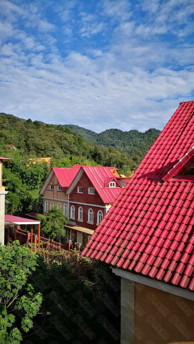 10年后的树脂瓦屋面 10年后的树脂瓦屋面