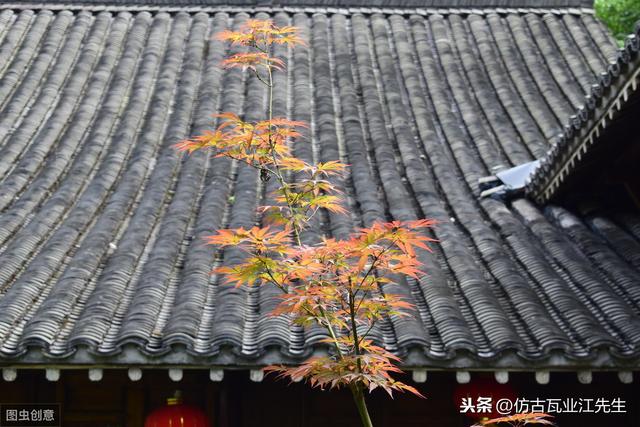 导读:农村盖房用树脂瓦适合吗?听完行家的分析,恍然大悟