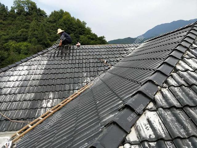 30元一平的树脂瓦省钱又耐用?网友:吃饱没事干,用一年就得换
